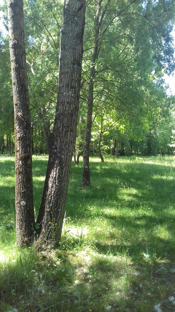 Park