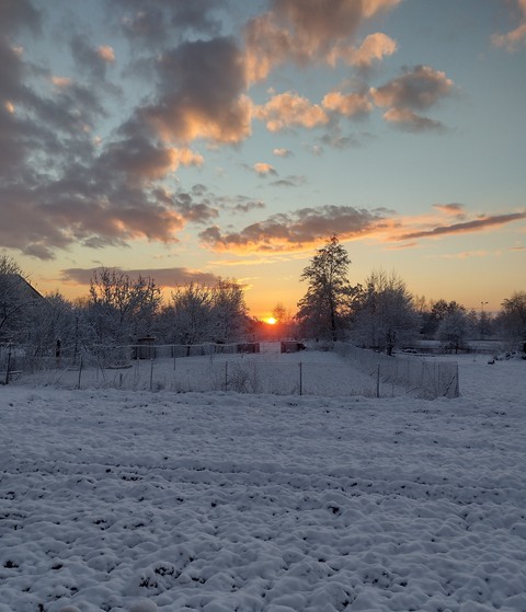 Sunrise