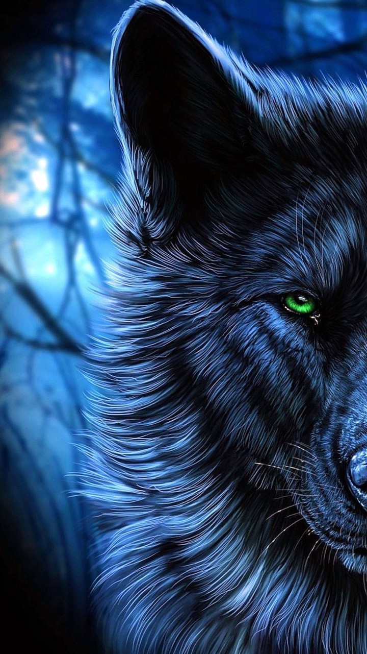 wolf