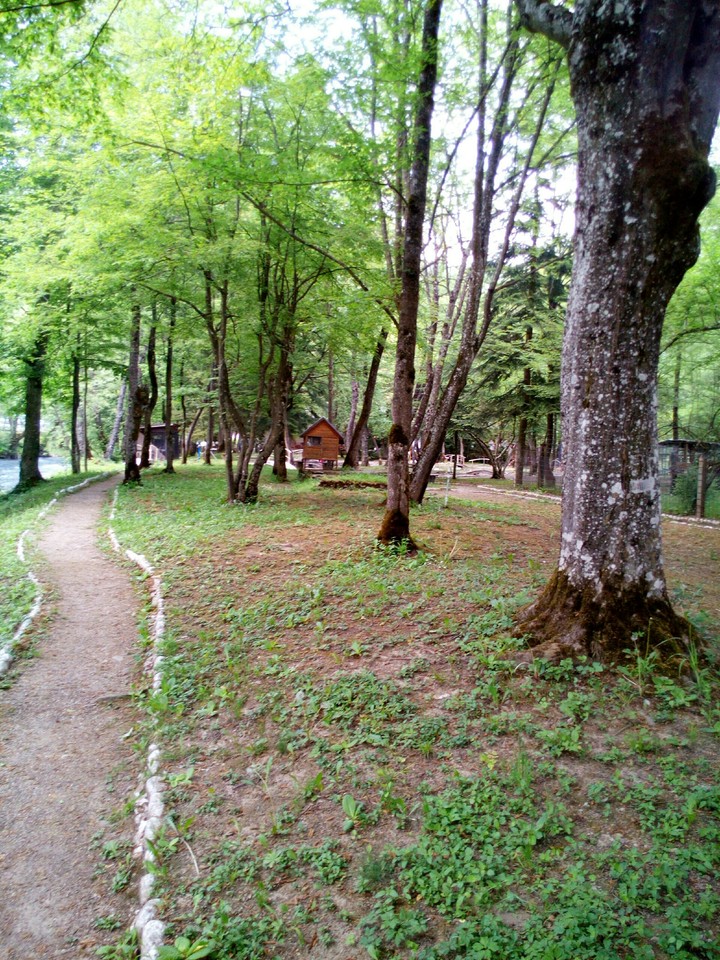nice nature