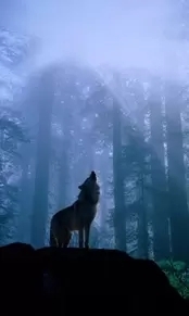 FH