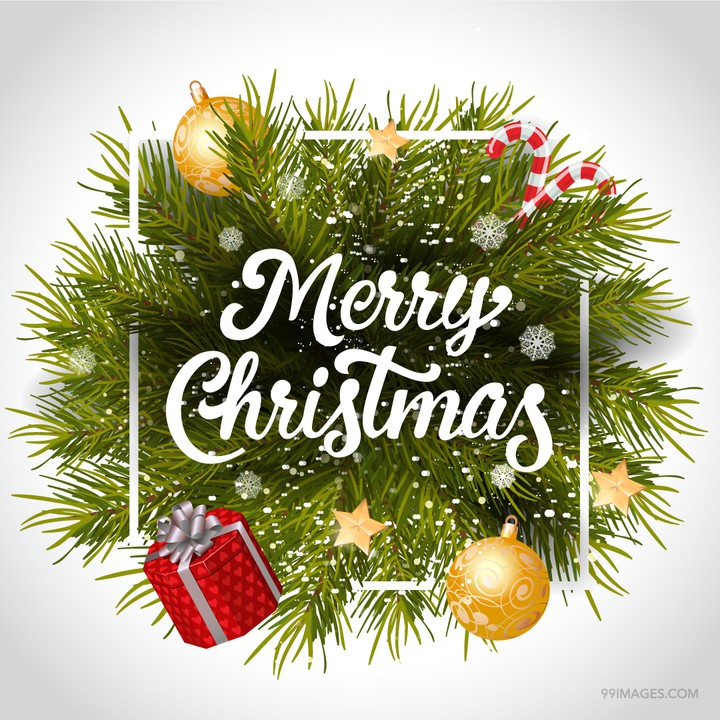 °•☆ MERRY CHRISTMAS ☆•°