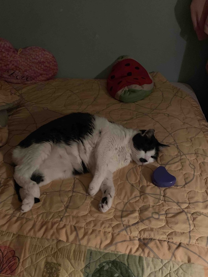 zzz