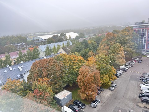 Tree, Suburb, Family_car