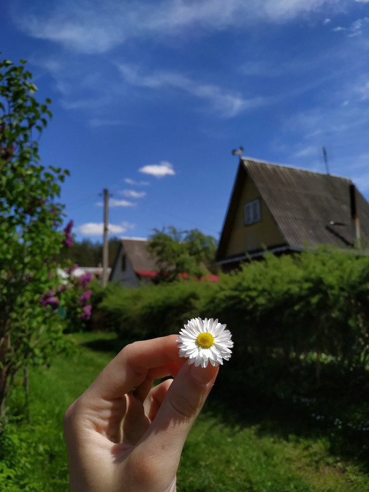 countryside
