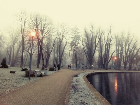 walking in the morning