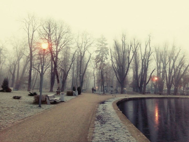 walking in the morning