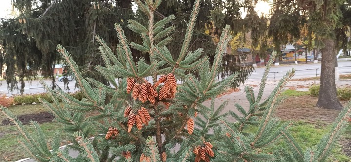 #Україна #осінь #autumn