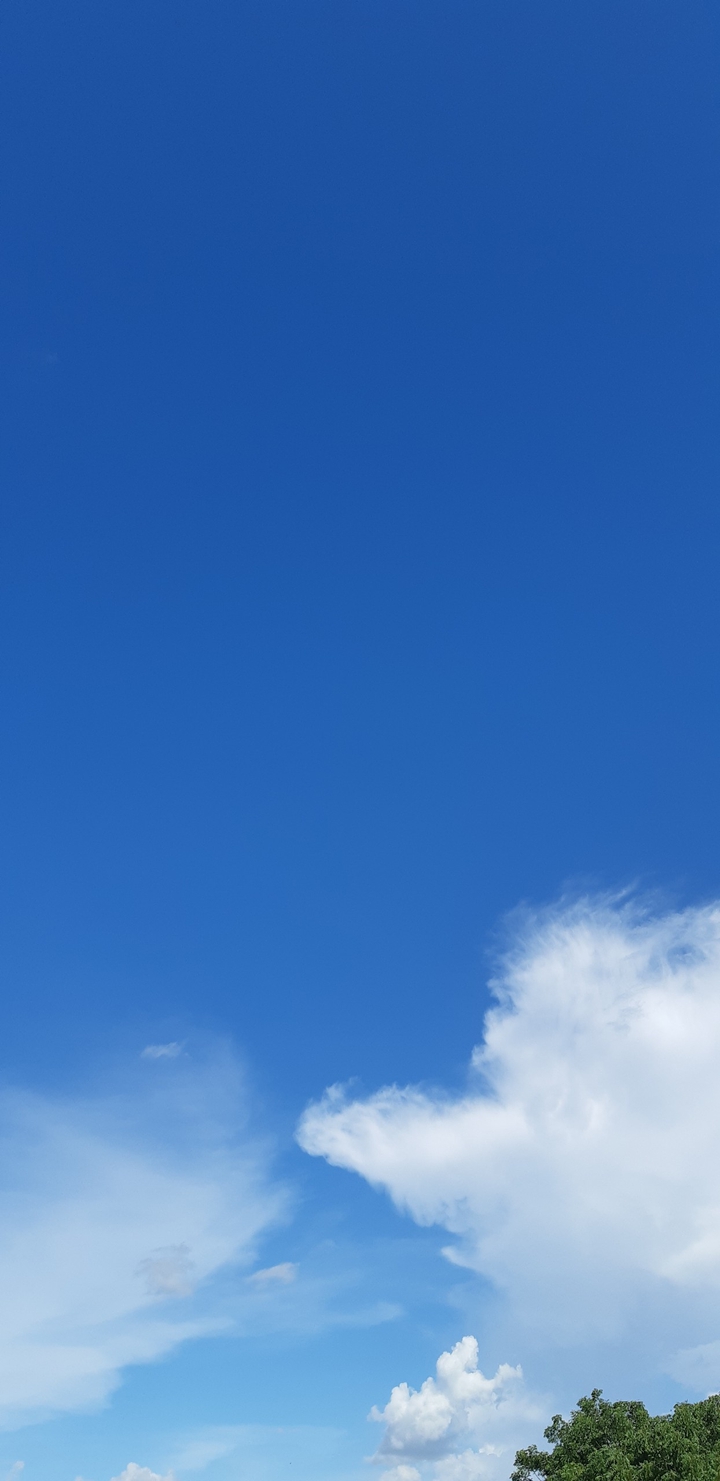 blue sky