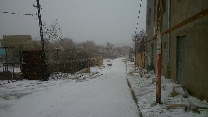 today snow. (08.12.2016 )