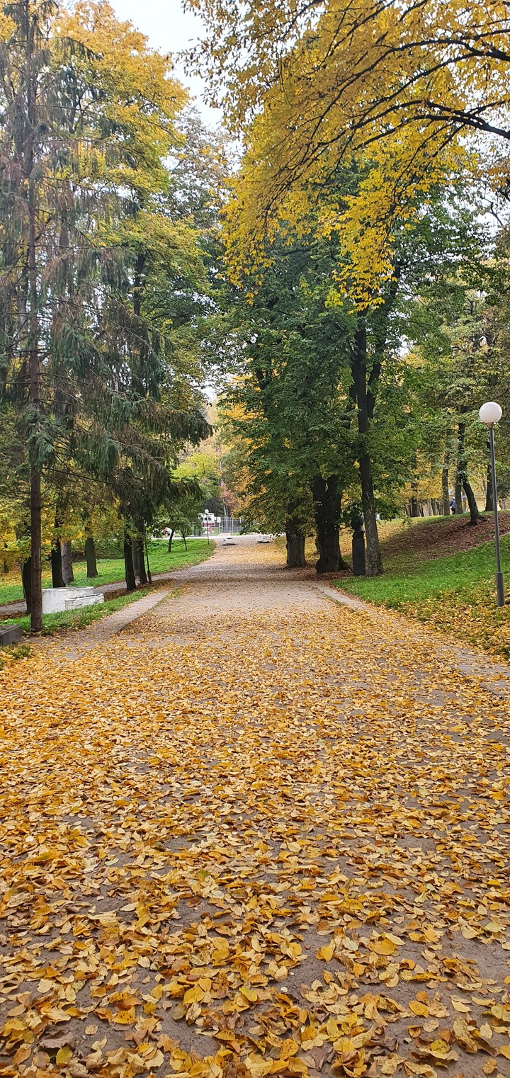золотая осень
