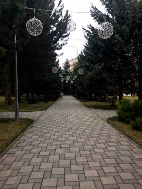 Path