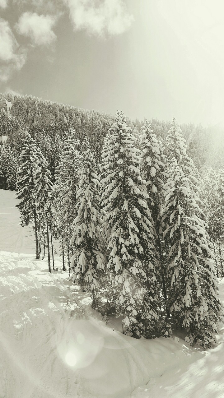 in the mountains
