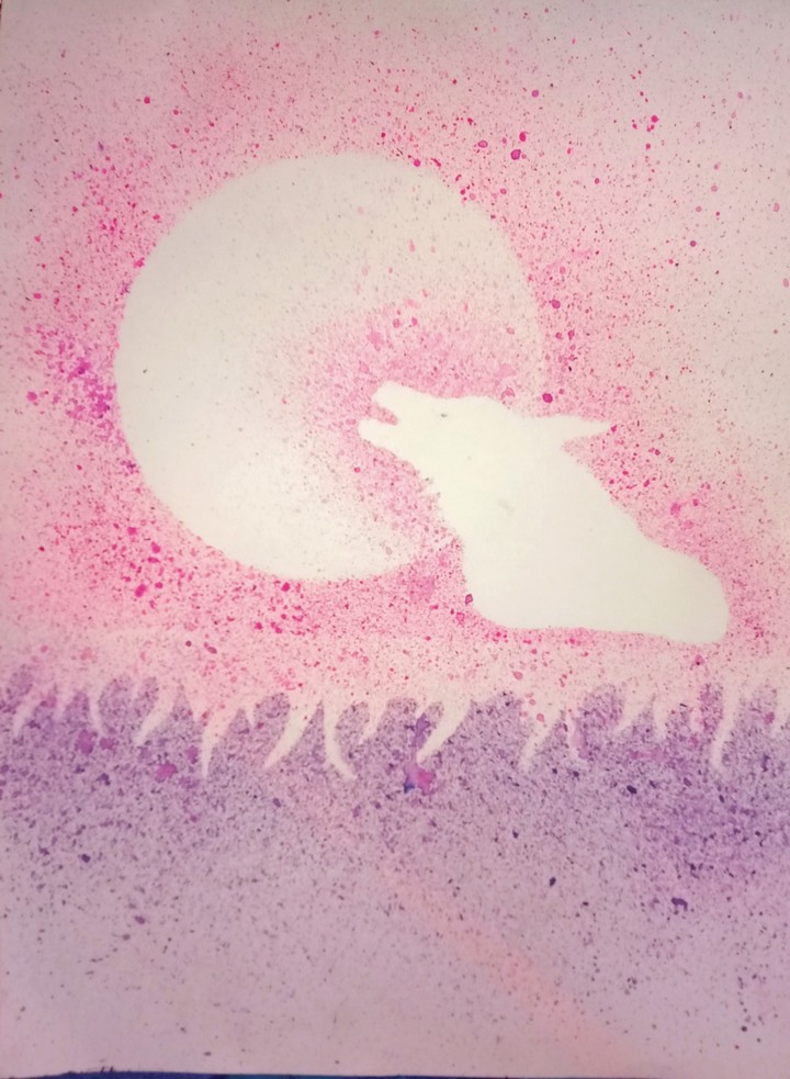 moon fox