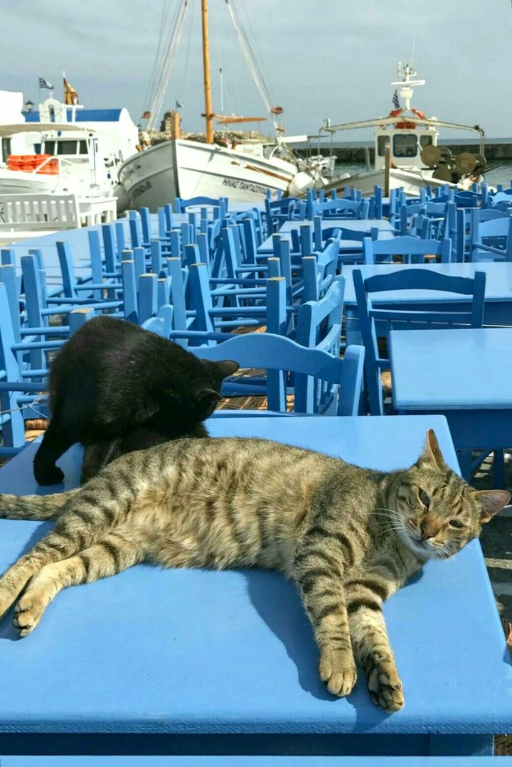 STAMATIOS