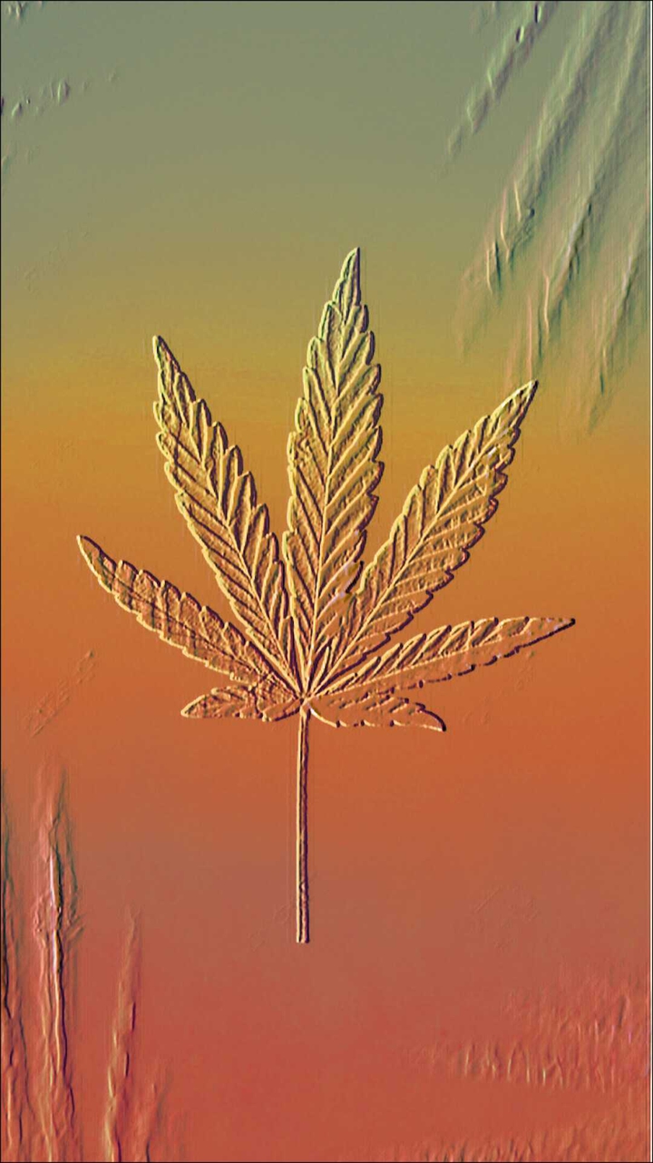 gold leaf