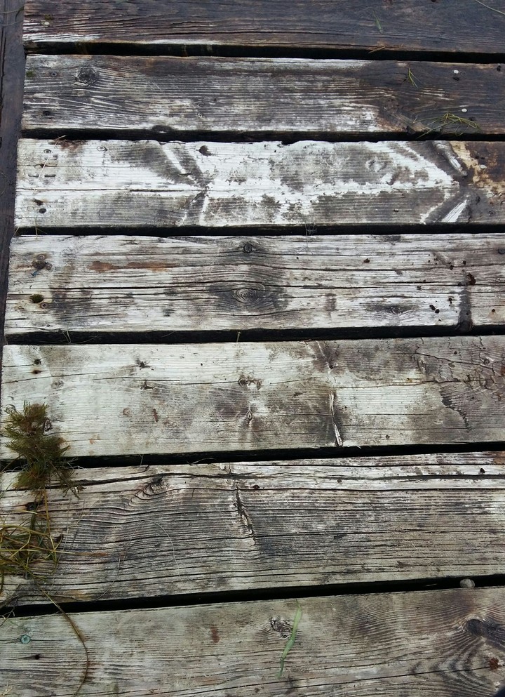 Old dock