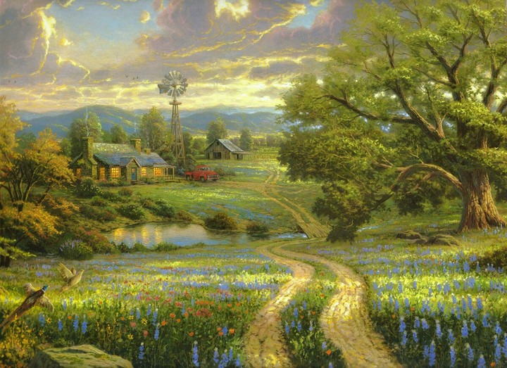 nature