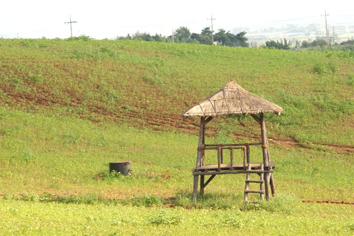 Gazebo