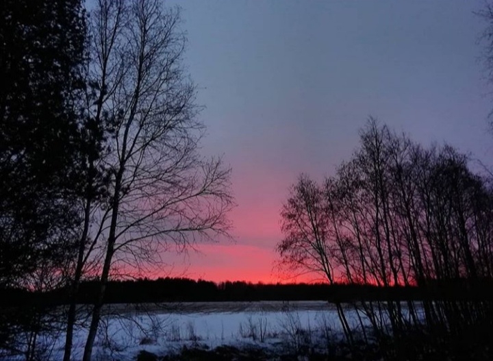 I'm an Estonian Photographer