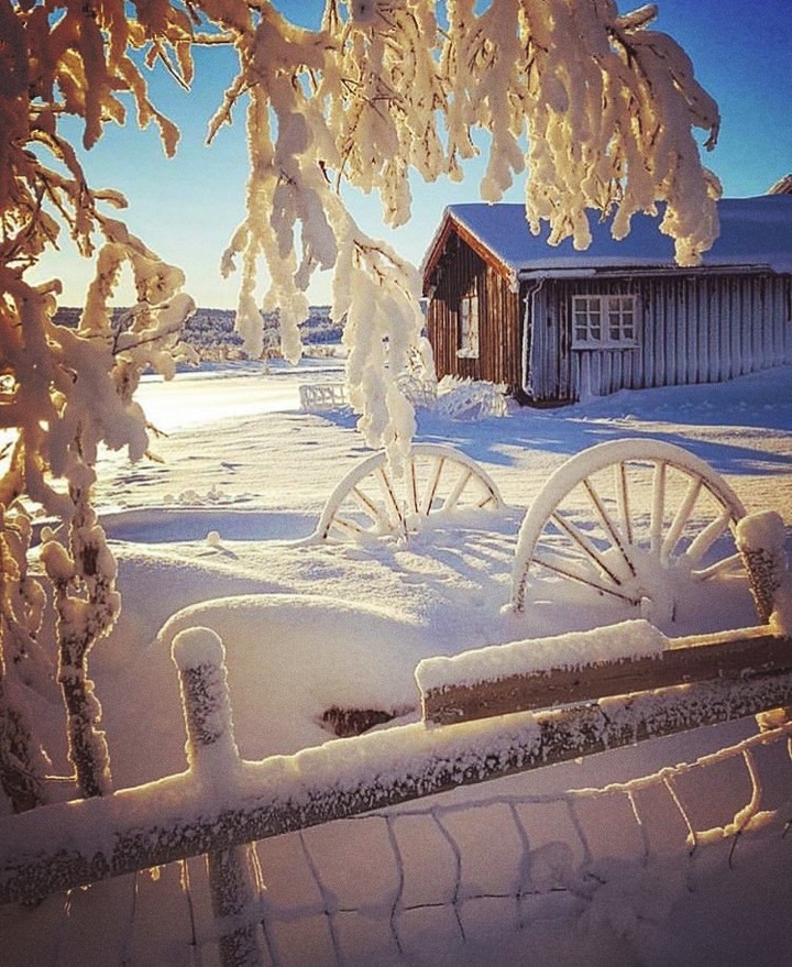 snowy