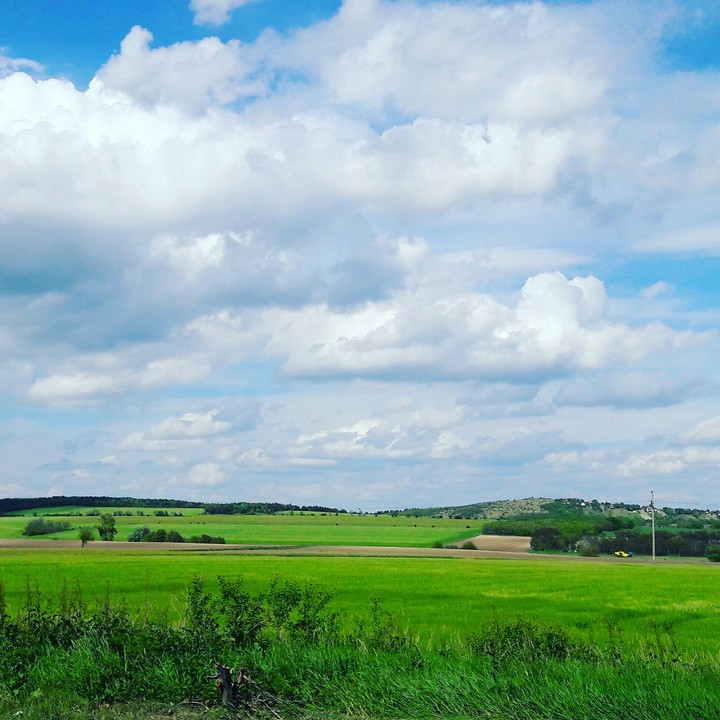 Horizon
