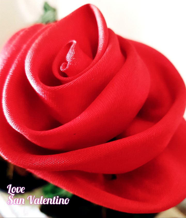 rosa