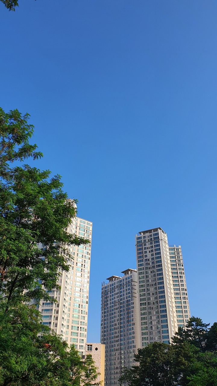 맑음(fine)