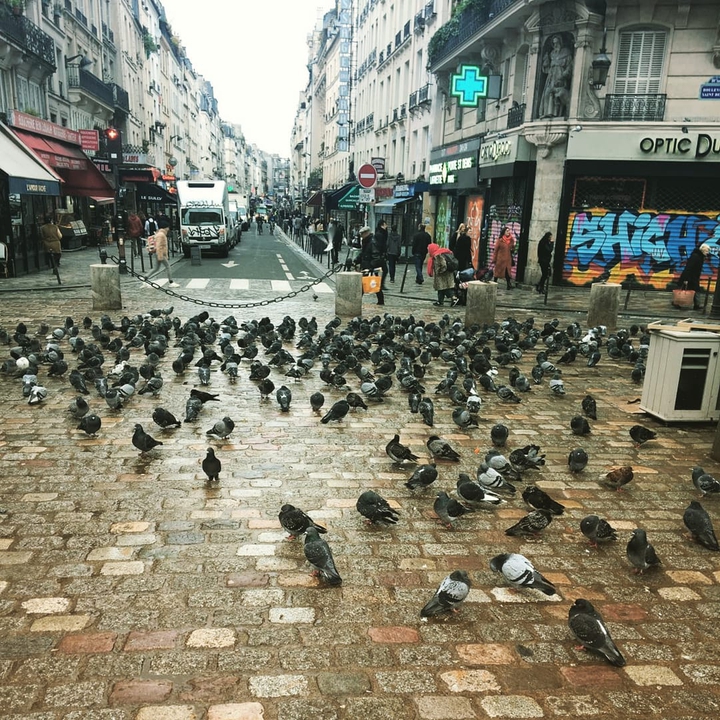 Paris