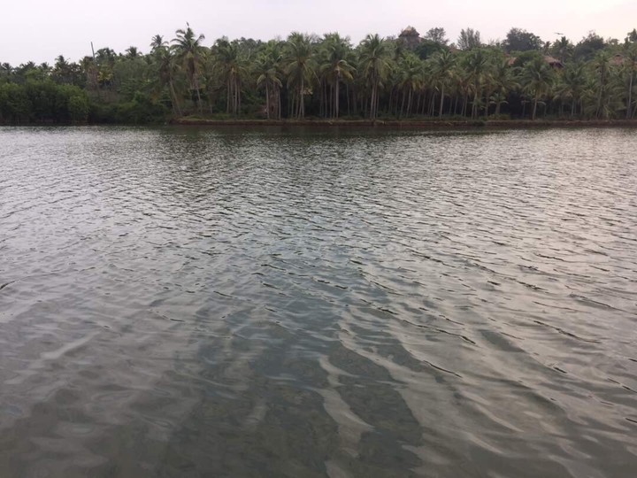 Lake in Kerala