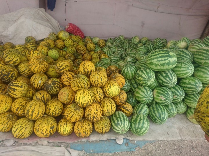wassermelone,honigmelone,kavun, ? karpuz