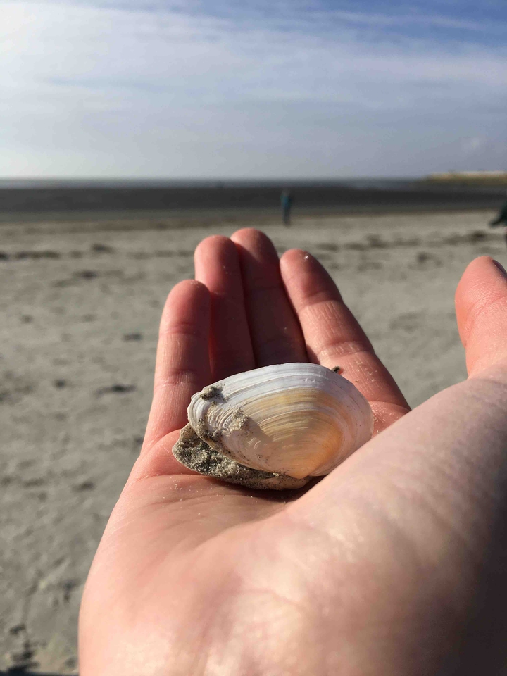 On the beach...
