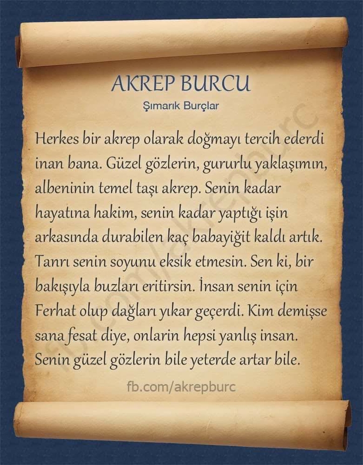 AKREP BURCU
