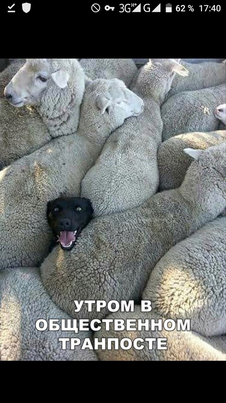 утро