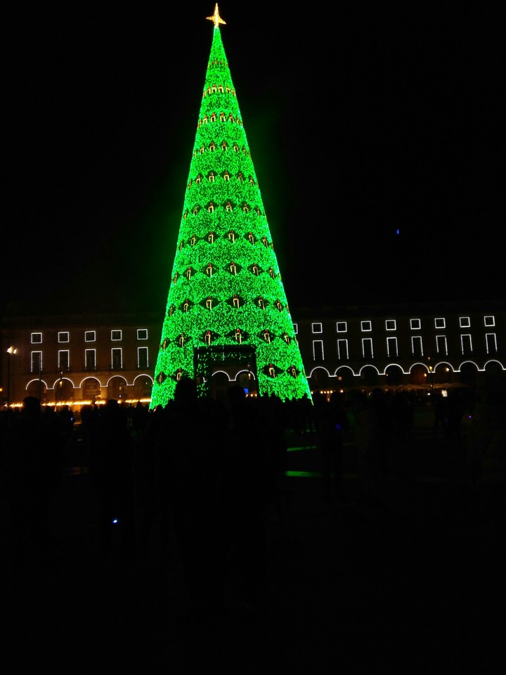 Christmas Tree in Lisbon, Portugal