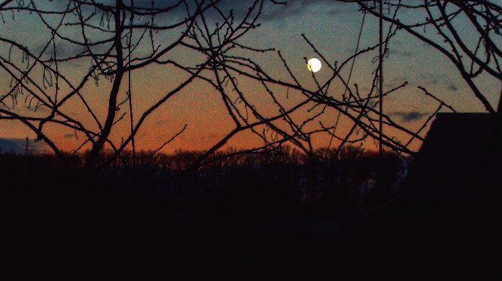 moon