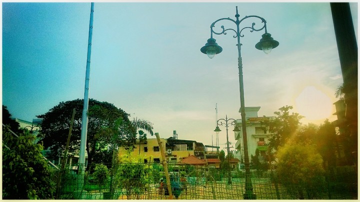 sunset in the park