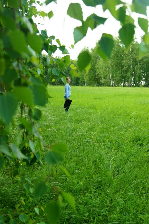 forest