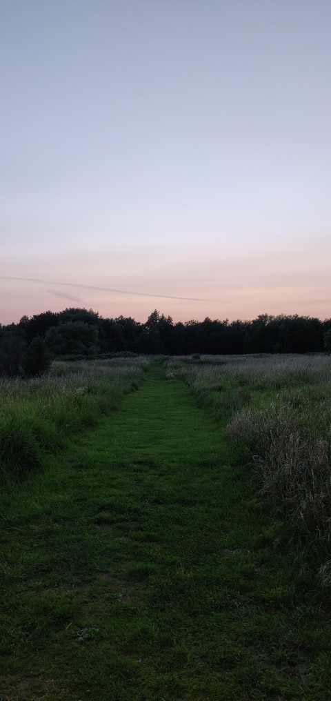 evening steps