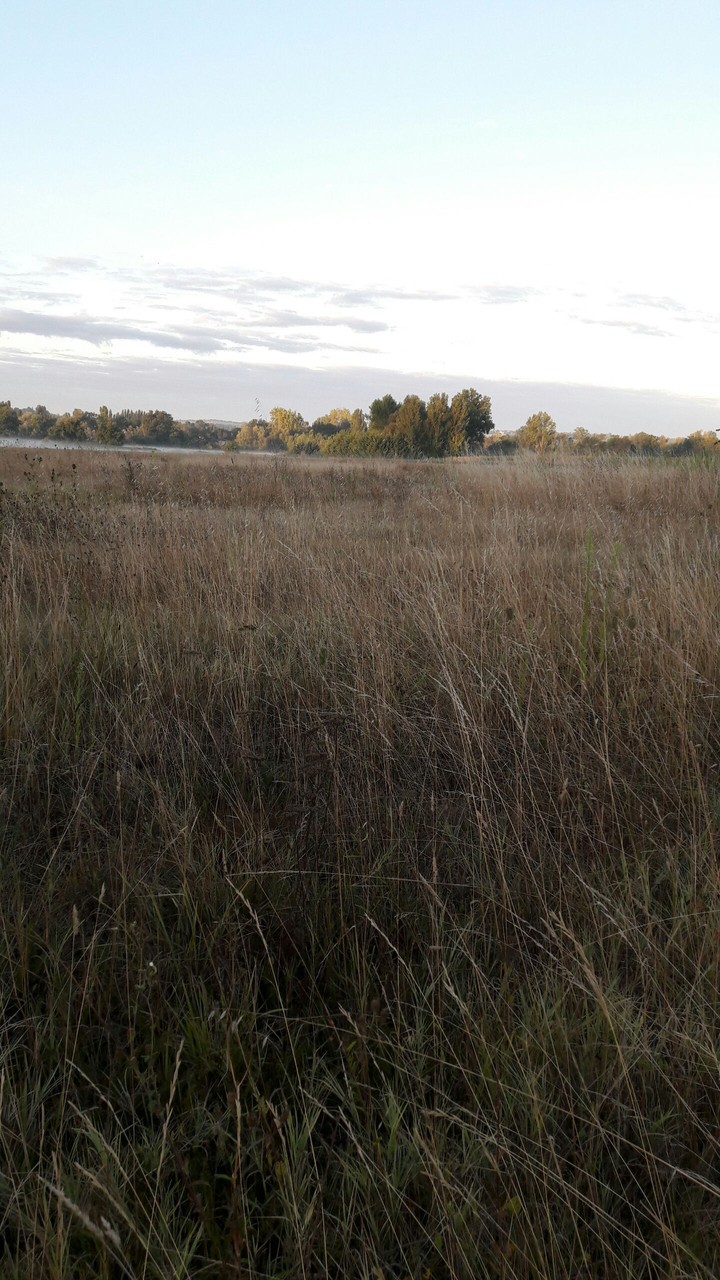 prairie