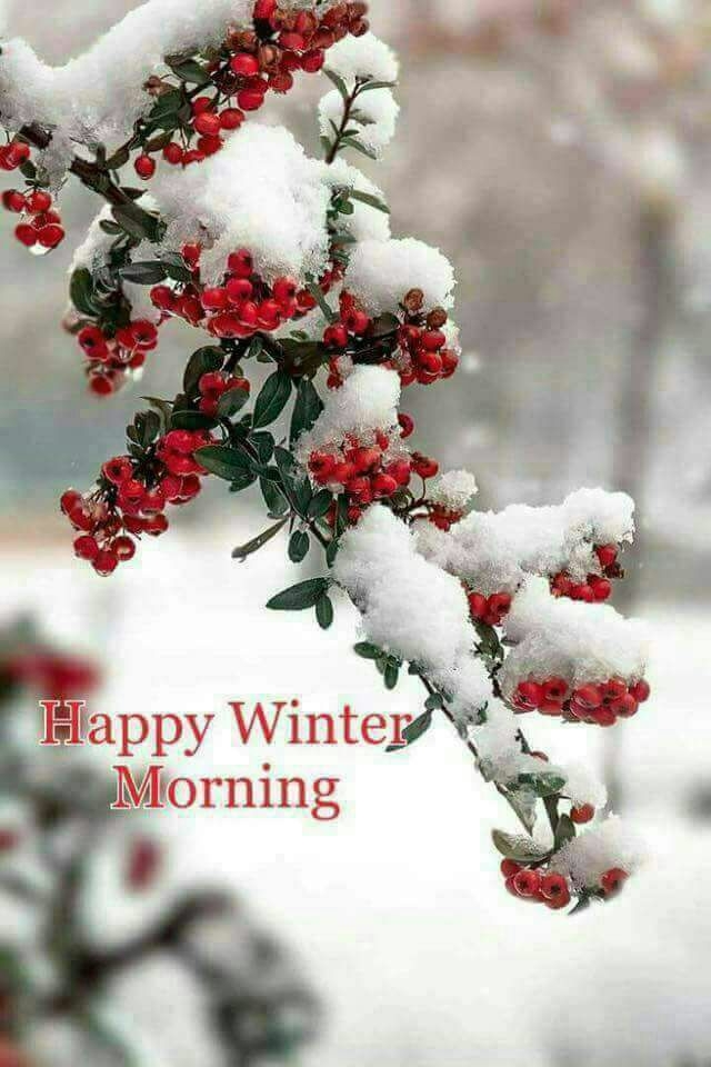 Happy