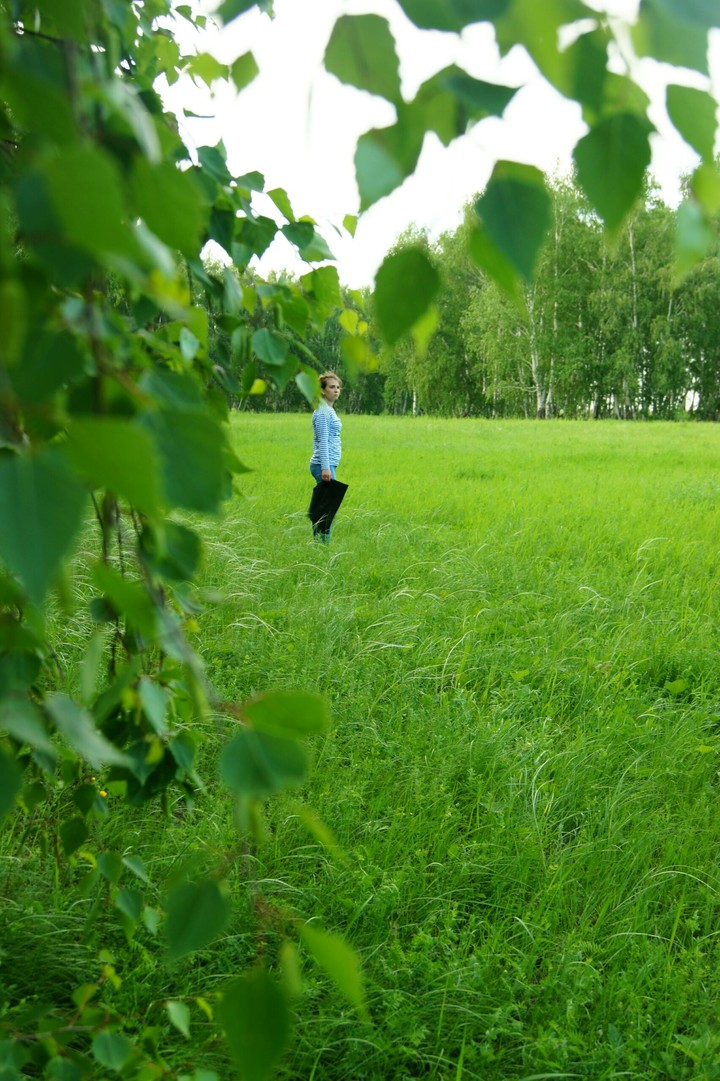 forest