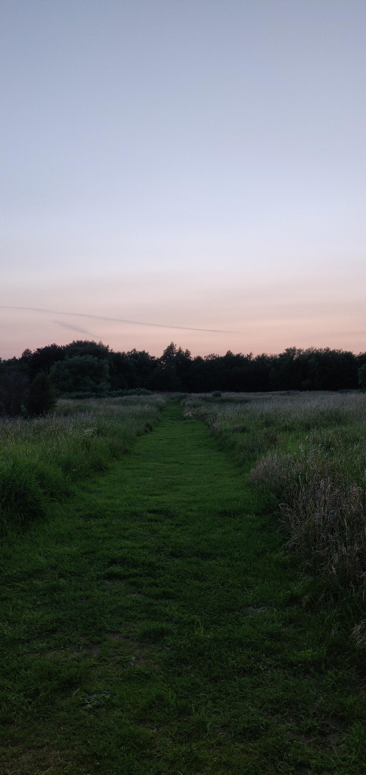 evening steps