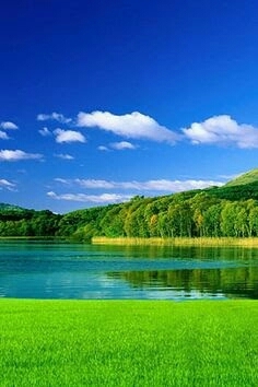 nature