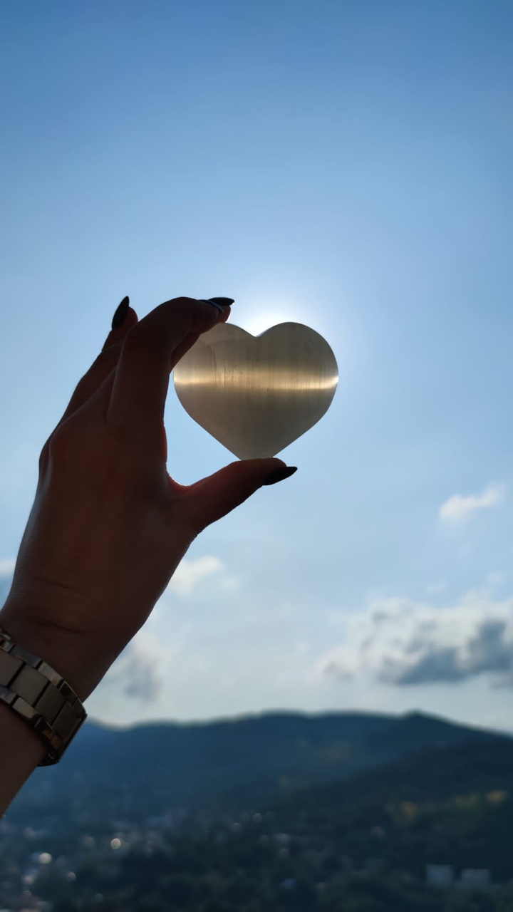 Heart