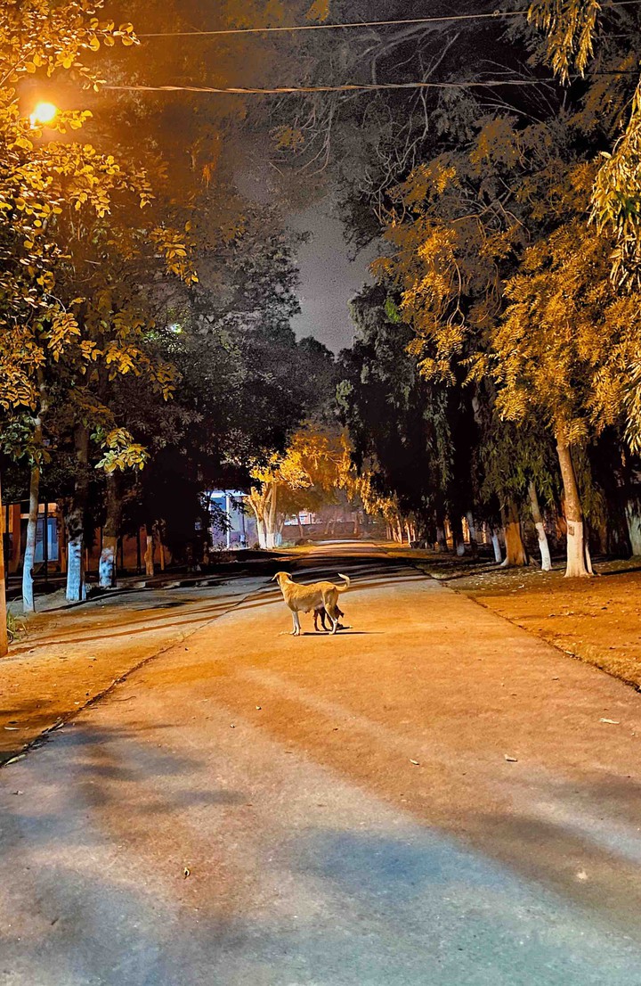 a great foggy night in hostel