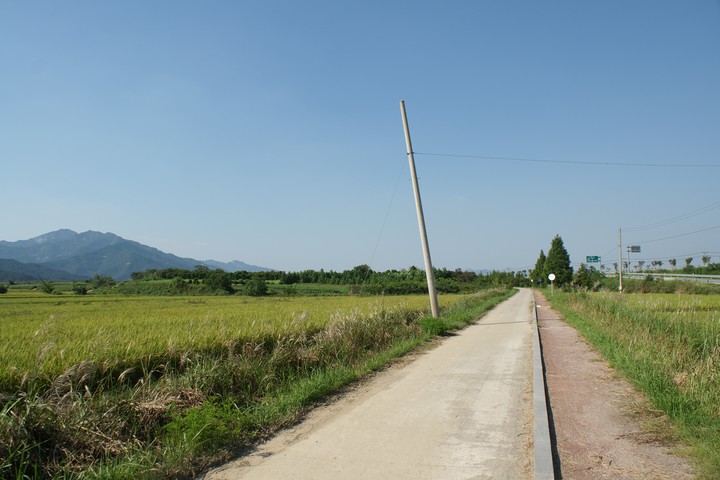 Scenics