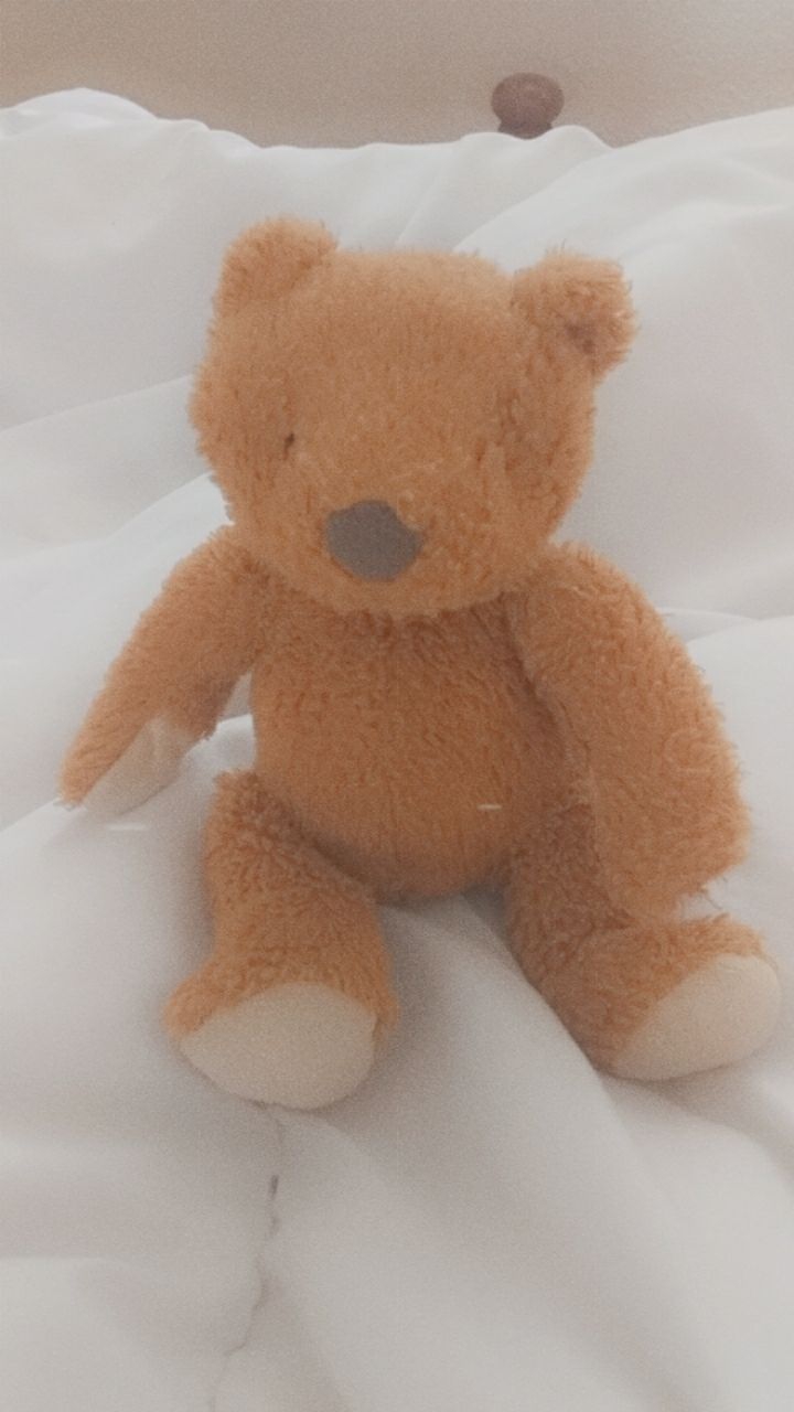 meet Tedi♡