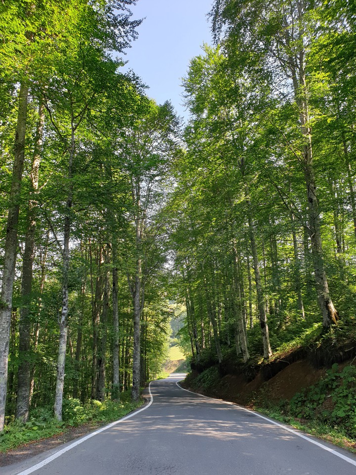 in the road