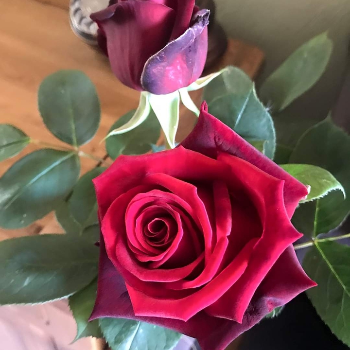 roses